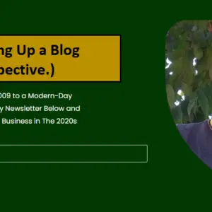 Read more about the article Section 1: Starting Up a Blog (Beginners Perspective.)