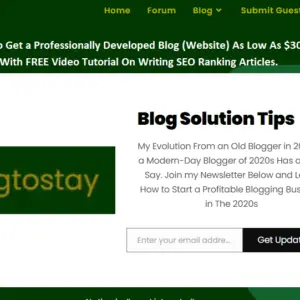 Read more about the article How To Get a Professionally Developed Blog (Website), SEO, and Link Building Strategies That Turns Your Business Into Revenue.