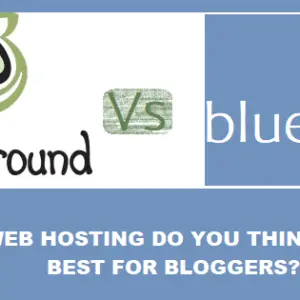 Read more about the article Bluehost Vs SiteGround: WHICH WEB HOSTING DO YOU THINK IS THE BEST FOR BLOGGERS?