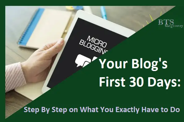 Read more about the article Your Blog’s First 30 Days: Step By Step on What You Exactly Have to Do.