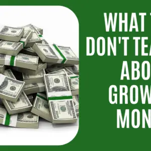 Read more about the article What They Don’t Teach Us About Growing Money — (Blogtostay)