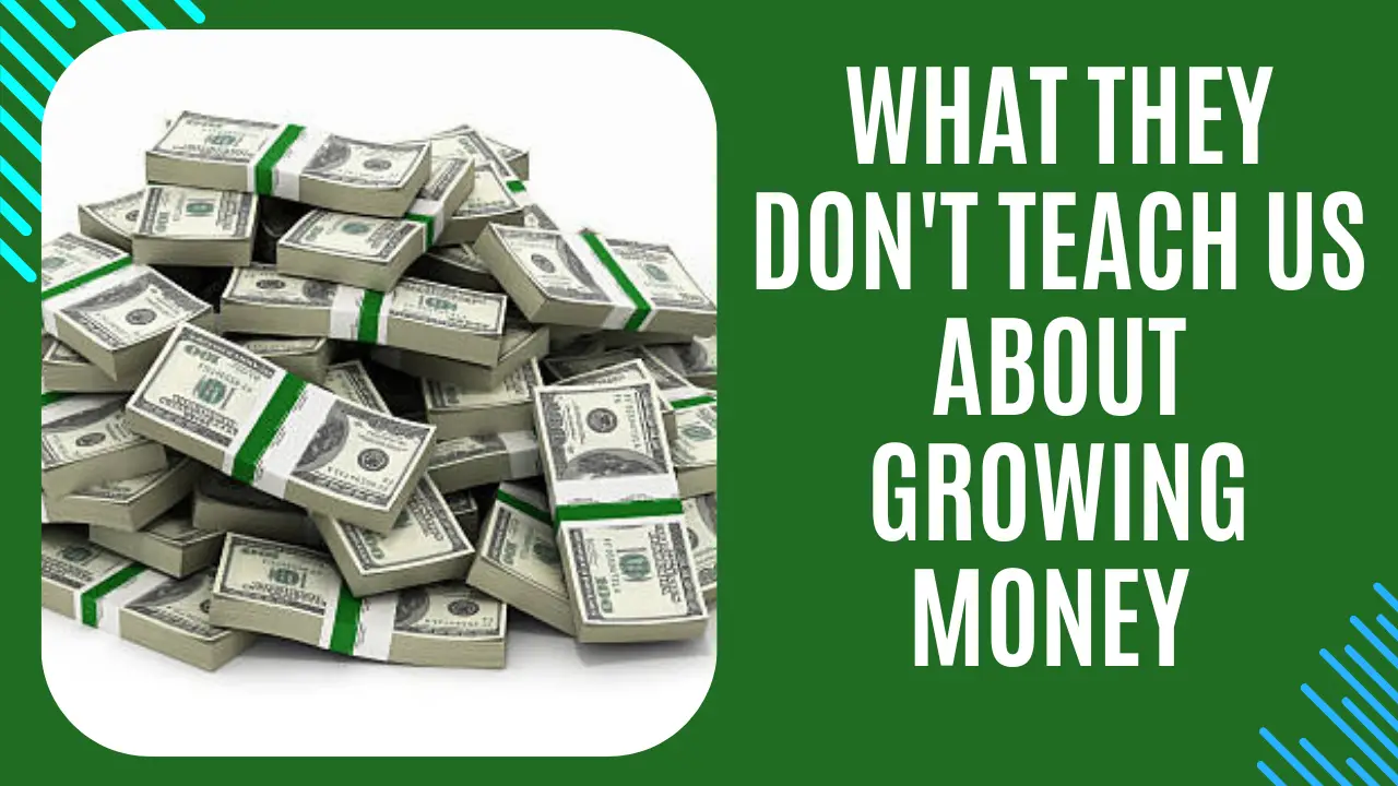 You are currently viewing What They Don’t Teach Us About Growing Money — (Blogtostay)